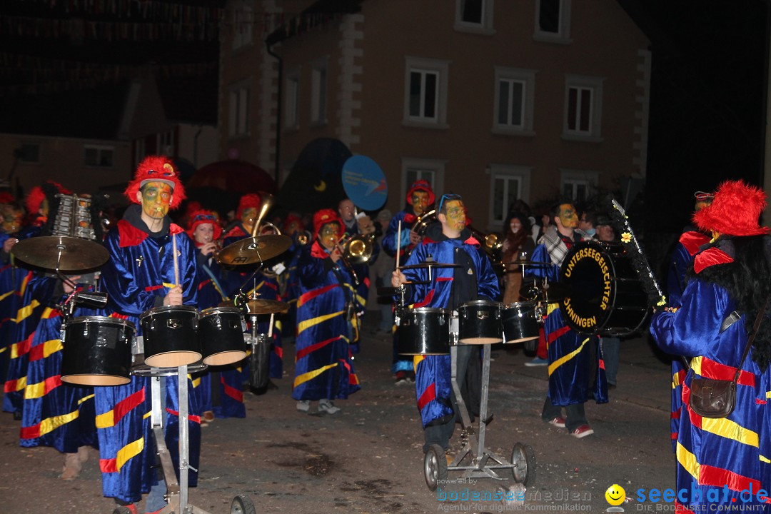 Nachtumzug - Narrentage in Orsingen-Nenzingen am Bodensee, 14.02.2014