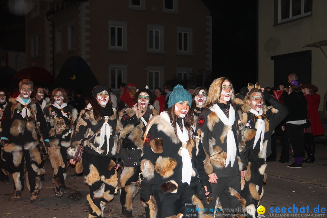 Nachtumzug - Narrentage in Orsingen-Nenzingen am Bodensee, 14.02.2014