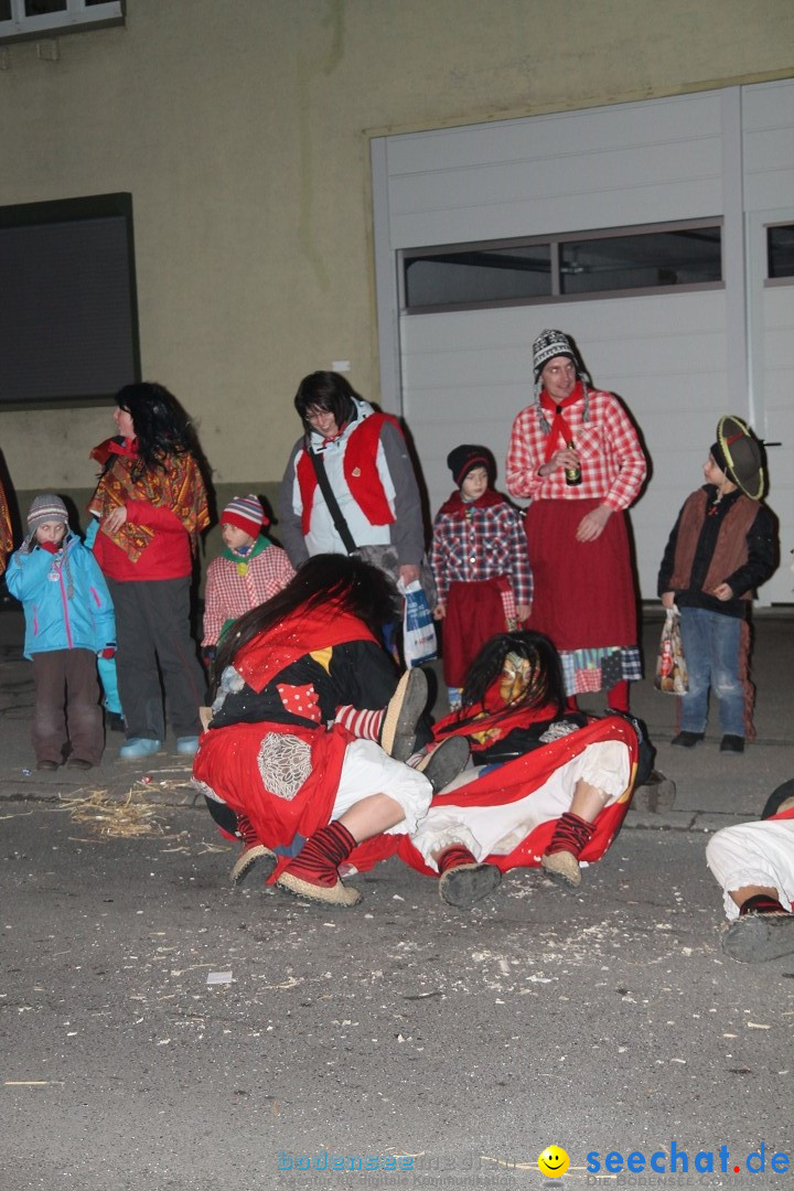 Nachtumzug - Narrentage in Orsingen-Nenzingen am Bodensee, 14.02.2014