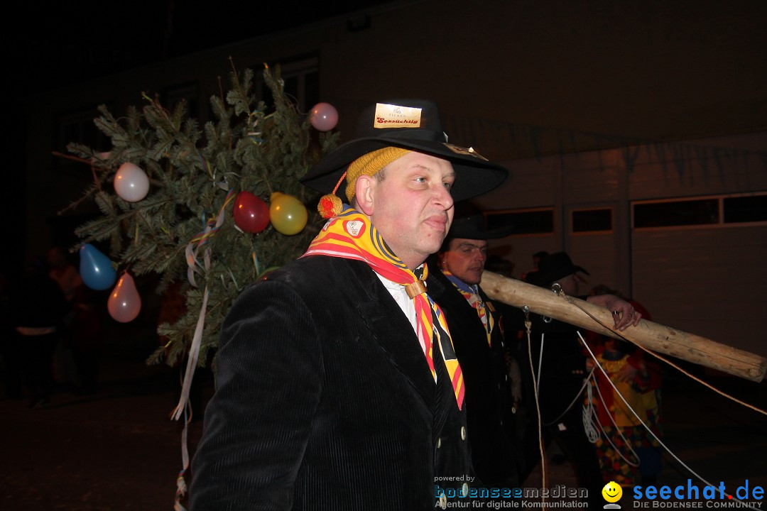 Nachtumzug - Narrentage in Orsingen-Nenzingen am Bodensee, 14.02.2014