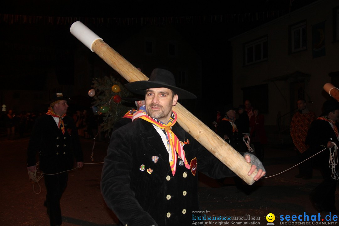 Nachtumzug - Narrentage in Orsingen-Nenzingen am Bodensee, 14.02.2014