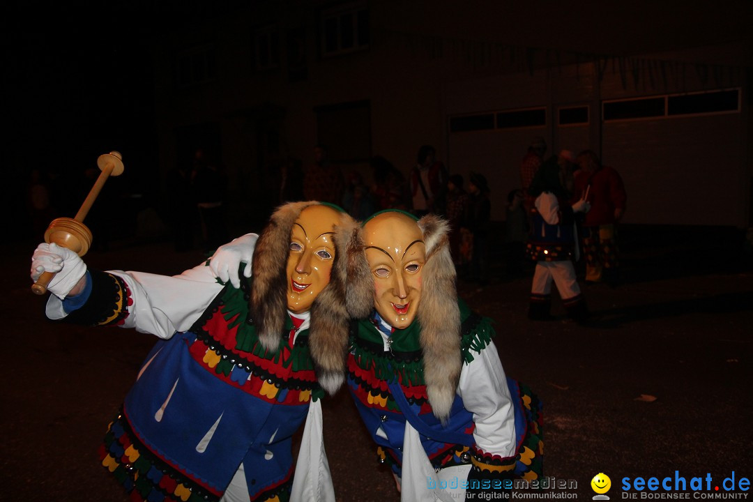 Nachtumzug - Narrentage in Orsingen-Nenzingen am Bodensee, 14.02.2014