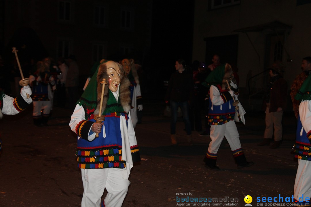 Nachtumzug - Narrentage in Orsingen-Nenzingen am Bodensee, 14.02.2014