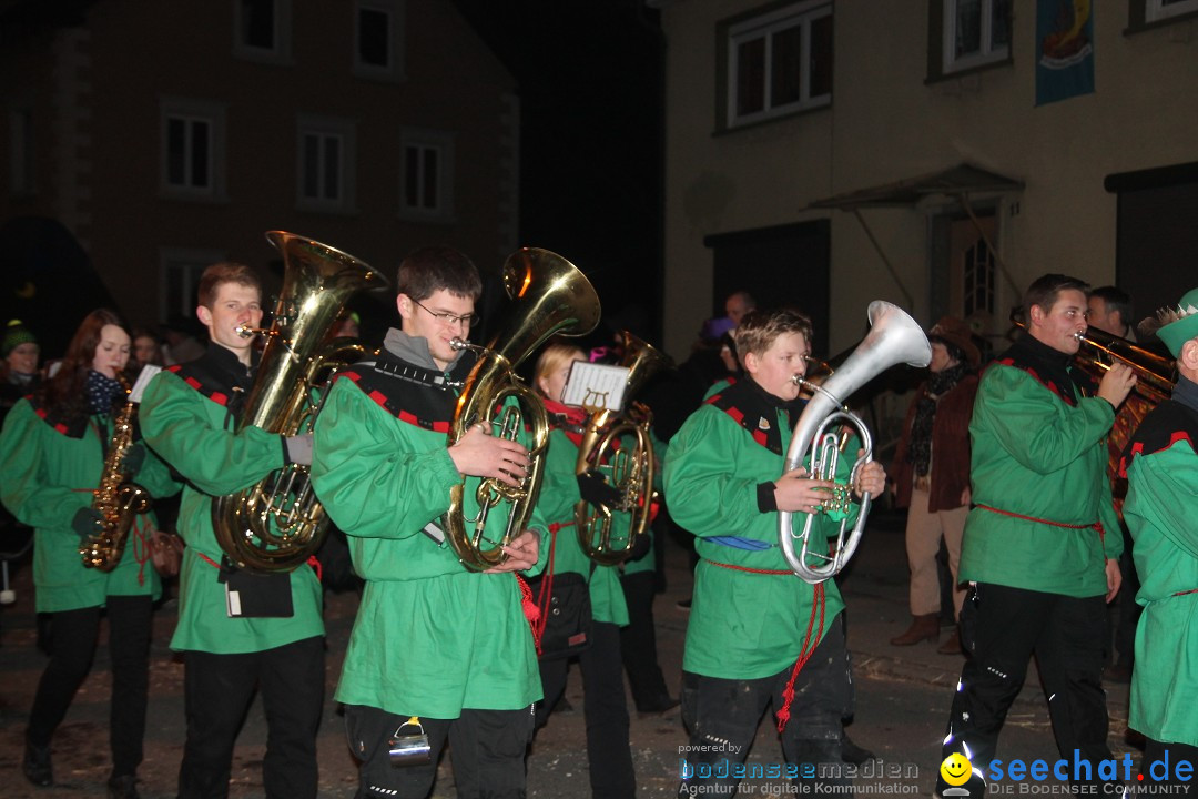 Nachtumzug - Narrentage in Orsingen-Nenzingen am Bodensee, 14.02.2014