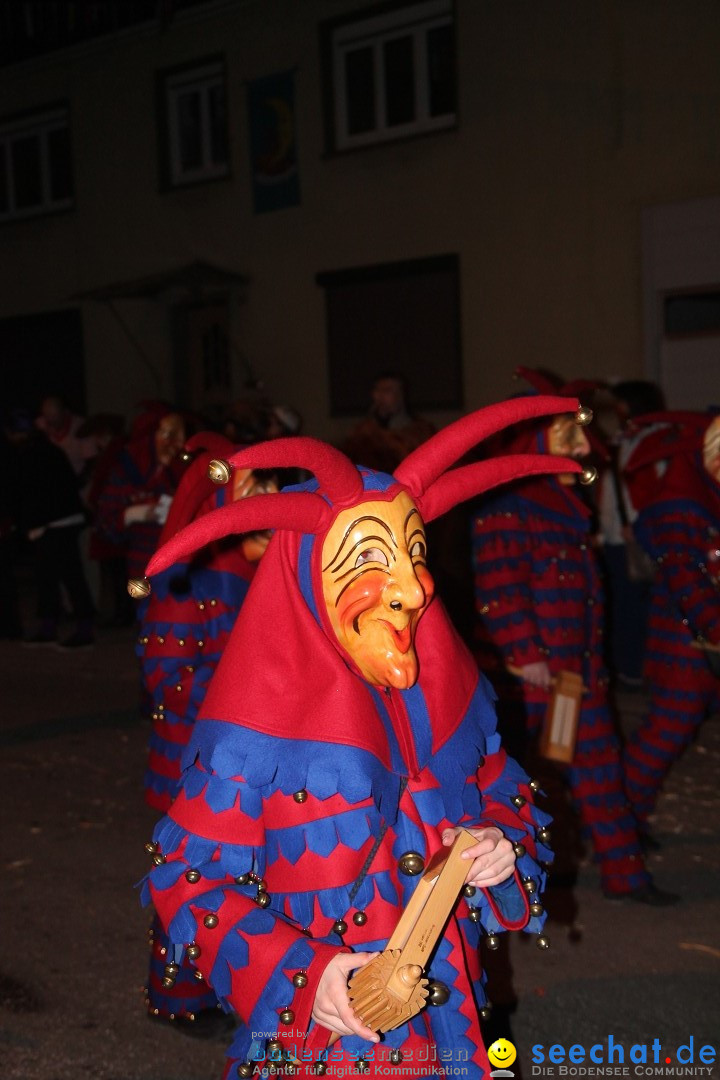 Nachtumzug - Narrentage in Orsingen-Nenzingen am Bodensee, 14.02.2014