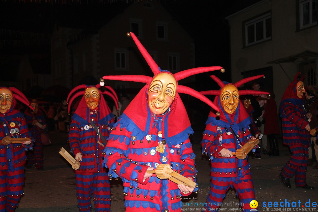 Nachtumzug - Narrentage in Orsingen-Nenzingen am Bodensee, 14.02.2014