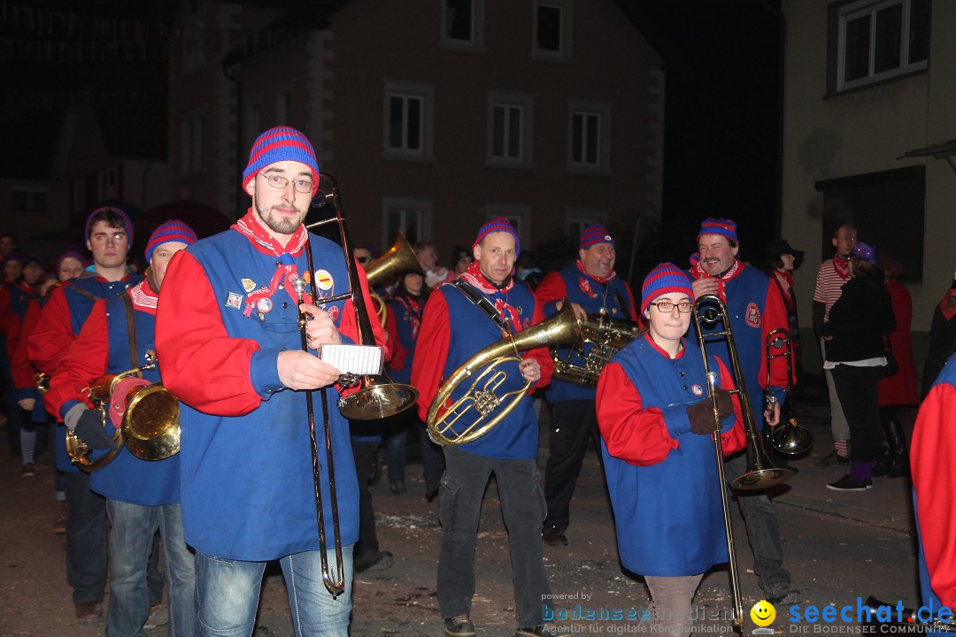 Nachtumzug - Narrentage in Orsingen-Nenzingen am Bodensee, 14.02.2014