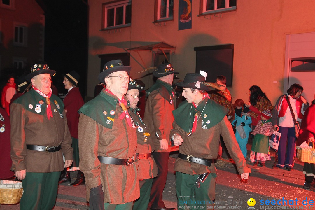 Nachtumzug - Narrentage in Orsingen-Nenzingen am Bodensee, 14.02.2014