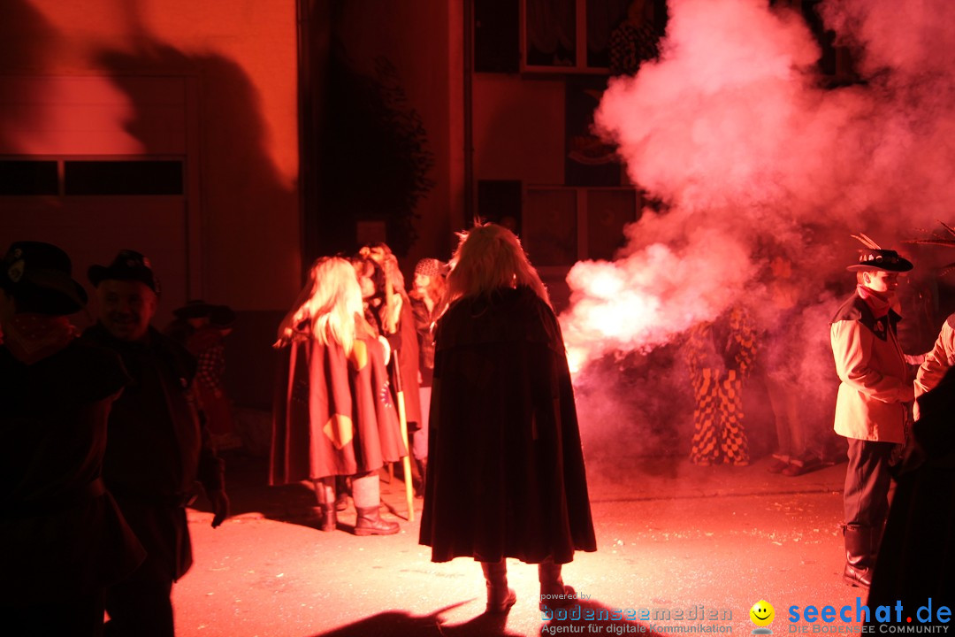 Nachtumzug - Narrentage in Orsingen-Nenzingen am Bodensee, 14.02.2014