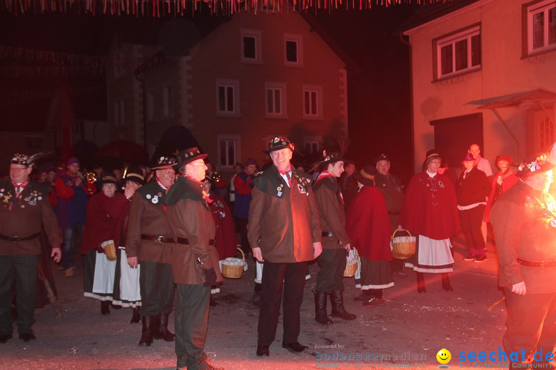 Nachtumzug - Narrentage in Orsingen-Nenzingen am Bodensee, 14.02.2014