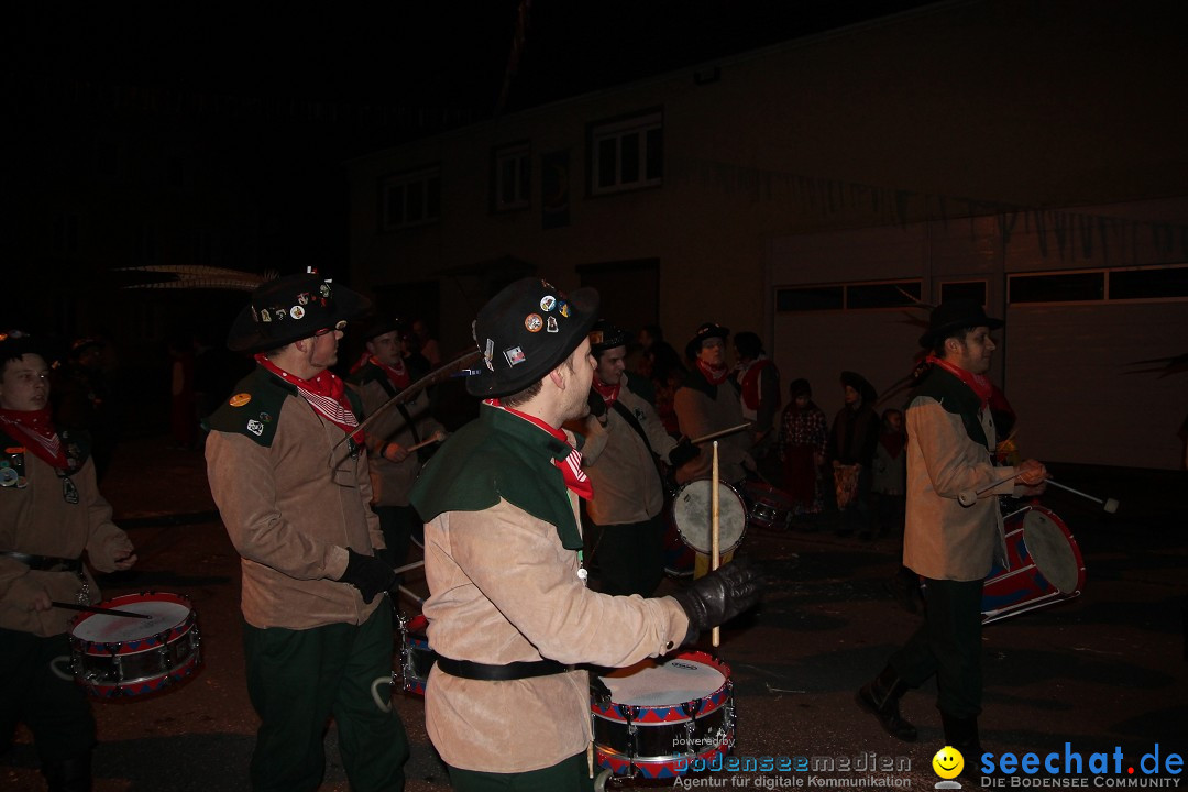 Nachtumzug - Narrentage in Orsingen-Nenzingen am Bodensee, 14.02.2014