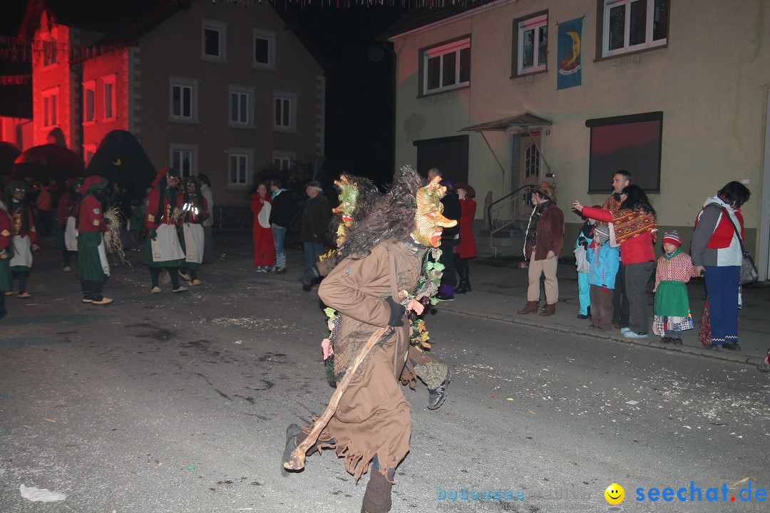 Nachtumzug - Narrentage in Orsingen-Nenzingen am Bodensee, 14.02.2014