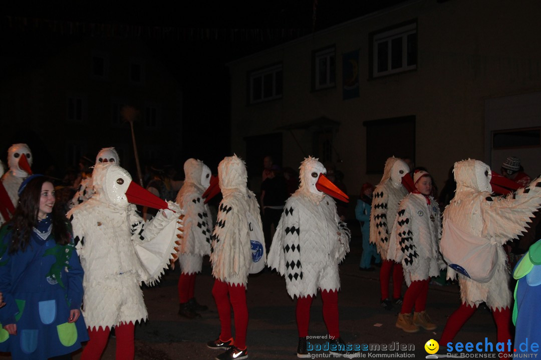 Nachtumzug - Narrentage in Orsingen-Nenzingen am Bodensee, 14.02.2014