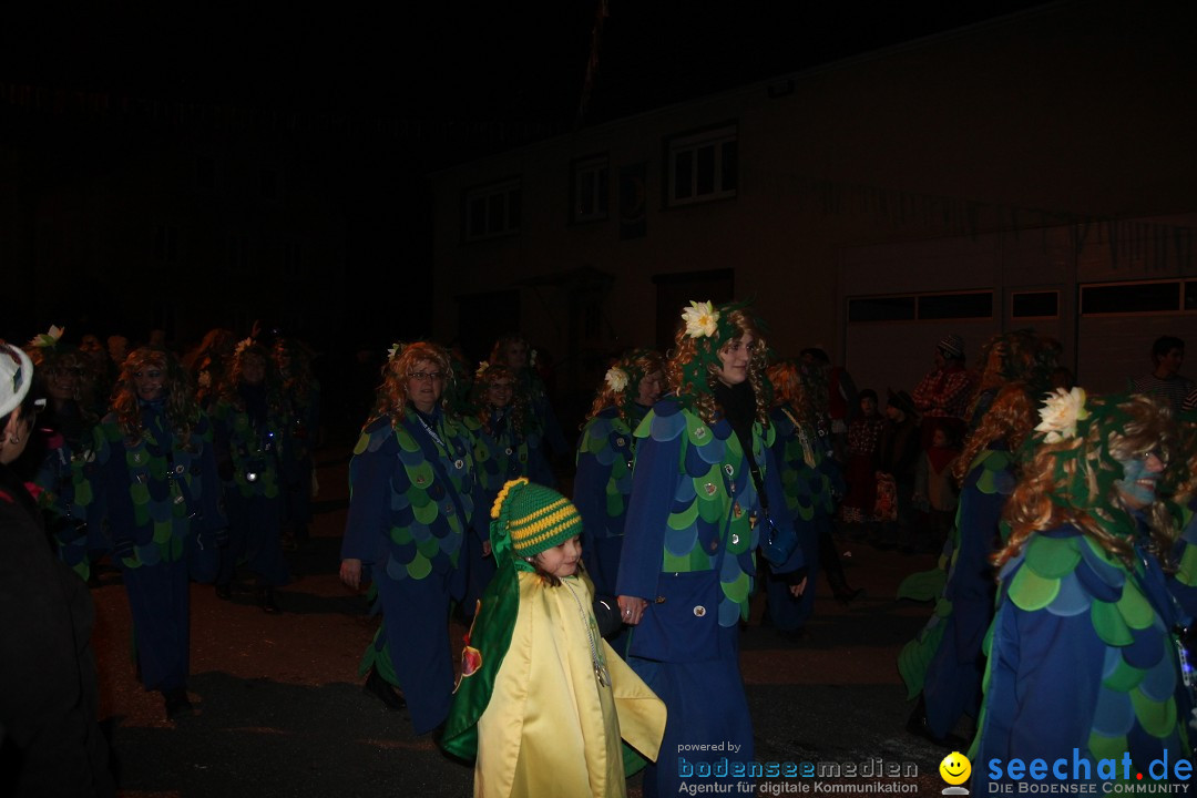 Nachtumzug - Narrentage in Orsingen-Nenzingen am Bodensee, 14.02.2014