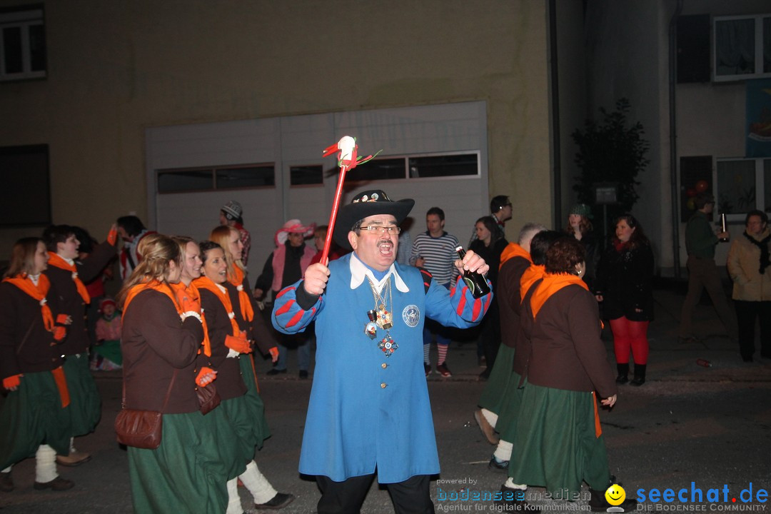 Nachtumzug - Narrentage in Orsingen-Nenzingen am Bodensee, 14.02.2014