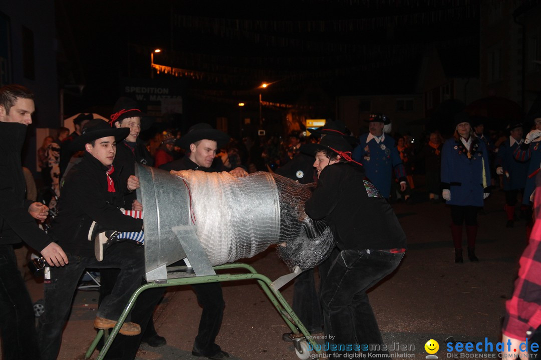 Nachtumzug - Narrentage in Orsingen-Nenzingen am Bodensee, 14.02.2014