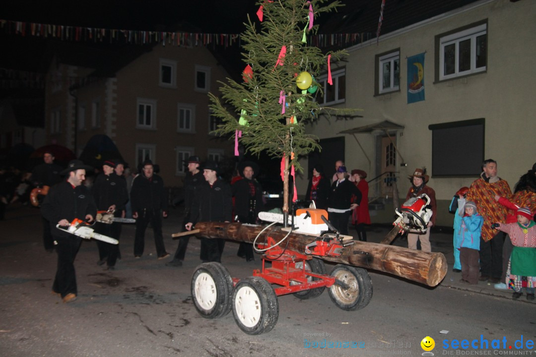 Nachtumzug - Narrentage in Orsingen-Nenzingen am Bodensee, 14.02.2014