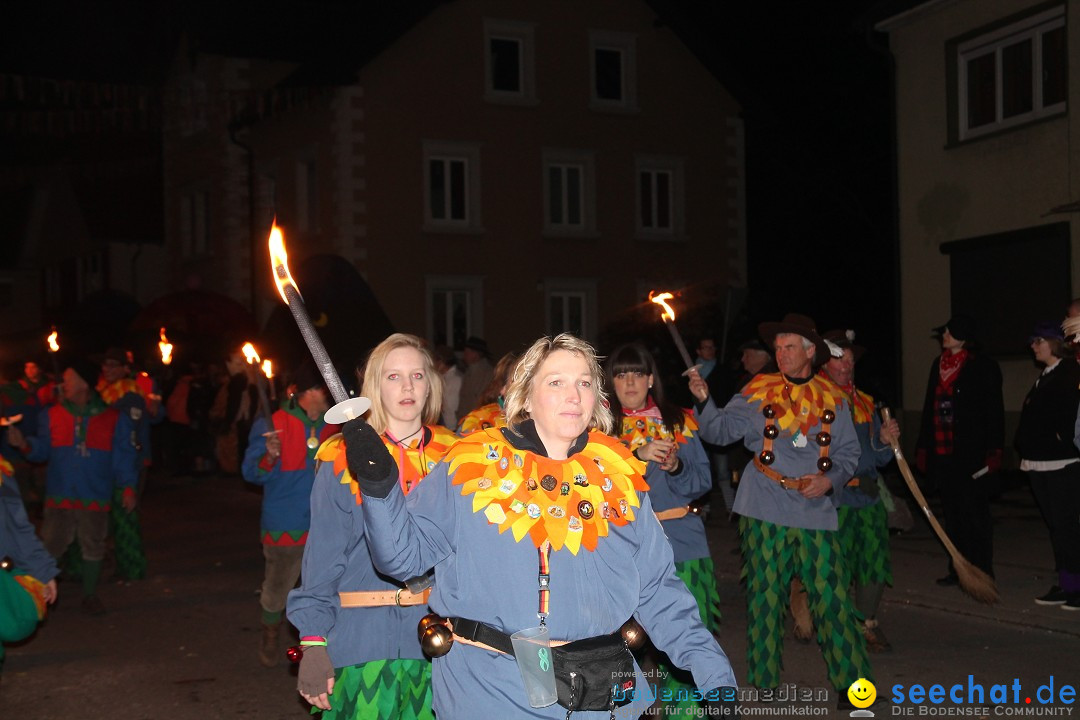 Nachtumzug - Narrentage in Orsingen-Nenzingen am Bodensee, 14.02.2014