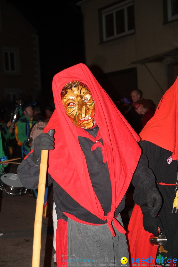 Nachtumzug - Narrentage in Orsingen-Nenzingen am Bodensee, 14.02.2014