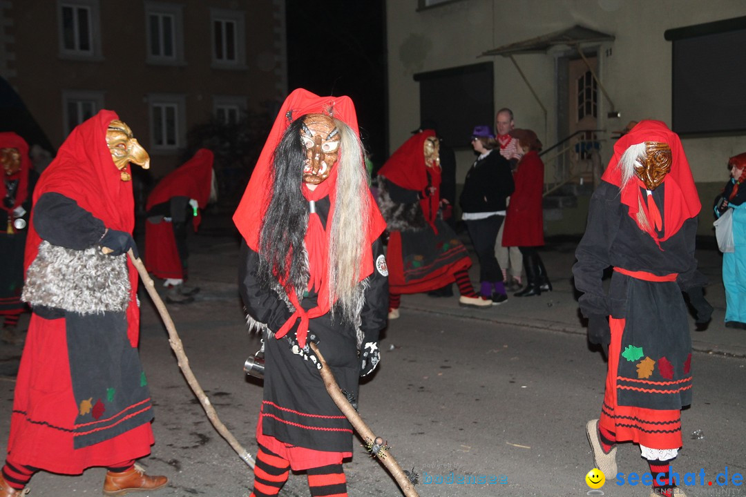 Nachtumzug - Narrentage in Orsingen-Nenzingen am Bodensee, 14.02.2014