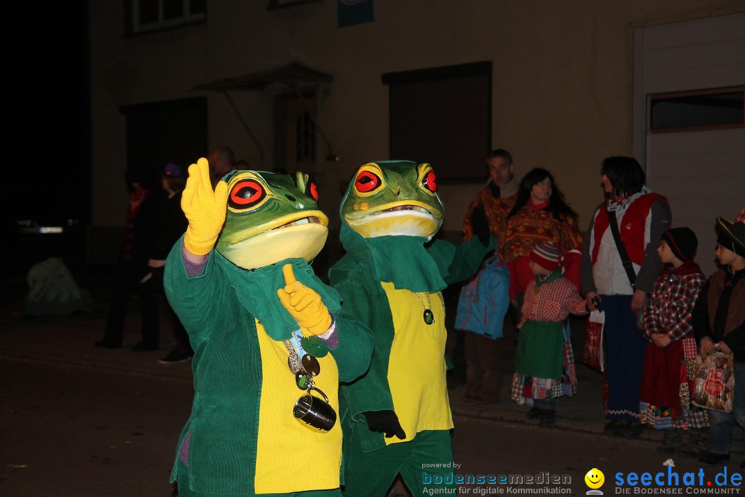 Nachtumzug - Narrentage in Orsingen-Nenzingen am Bodensee, 14.02.2014