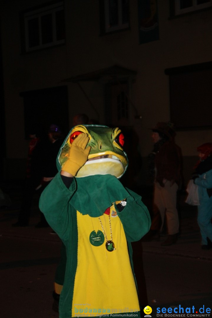 Nachtumzug - Narrentage in Orsingen-Nenzingen am Bodensee, 14.02.2014