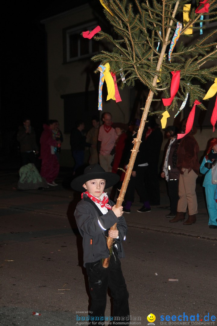 Nachtumzug - Narrentage in Orsingen-Nenzingen am Bodensee, 14.02.2014