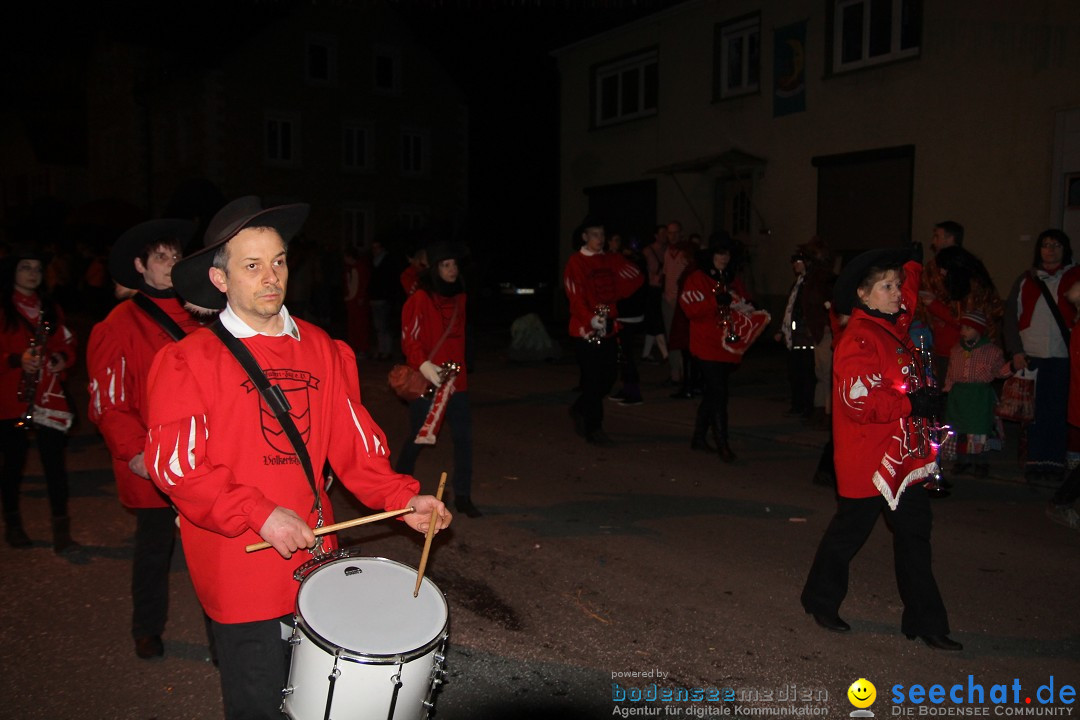 Nachtumzug - Narrentage in Orsingen-Nenzingen am Bodensee, 14.02.2014