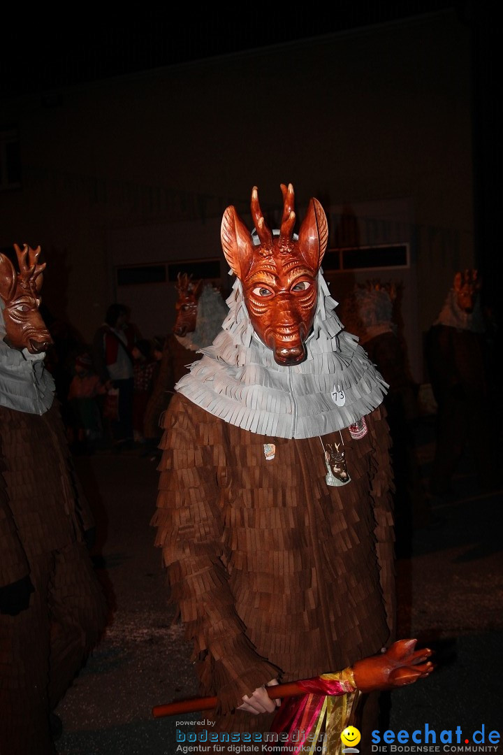 Nachtumzug - Narrentage in Orsingen-Nenzingen am Bodensee, 14.02.2014