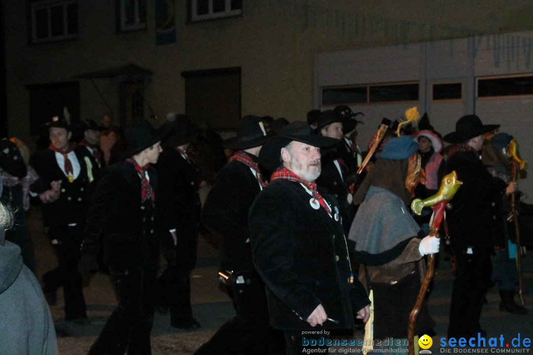 Nachtumzug - Narrentage in Orsingen-Nenzingen am Bodensee, 14.02.2014