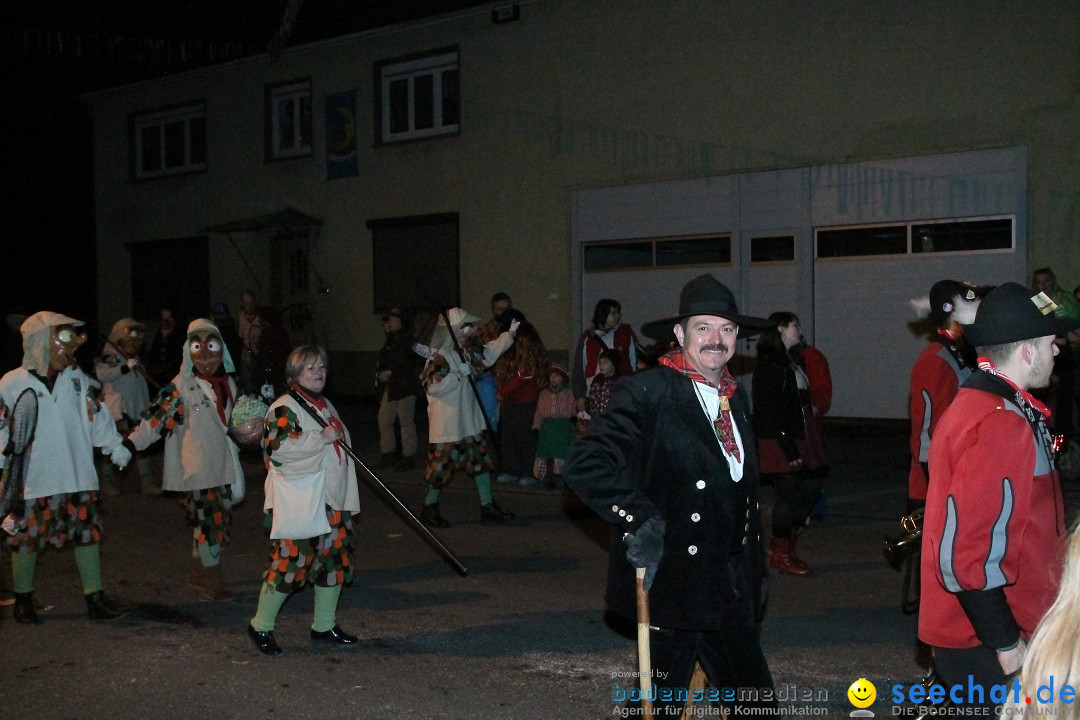 Nachtumzug - Narrentage in Orsingen-Nenzingen am Bodensee, 14.02.2014