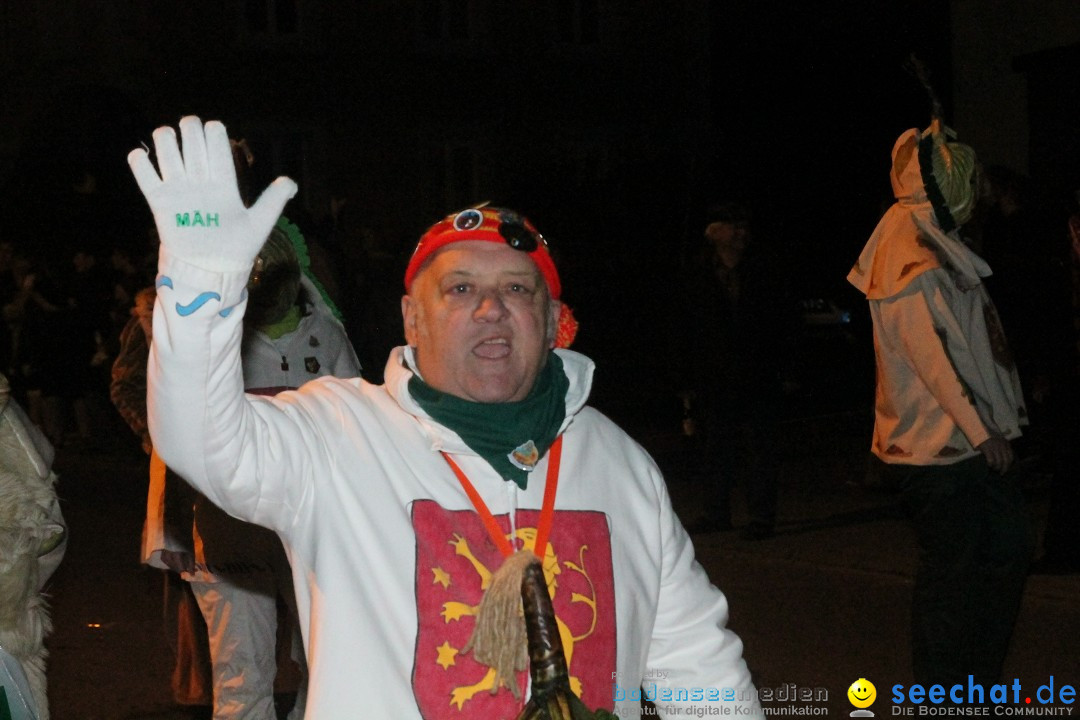 Nachtumzug - Narrentage in Orsingen-Nenzingen am Bodensee, 14.02.2014