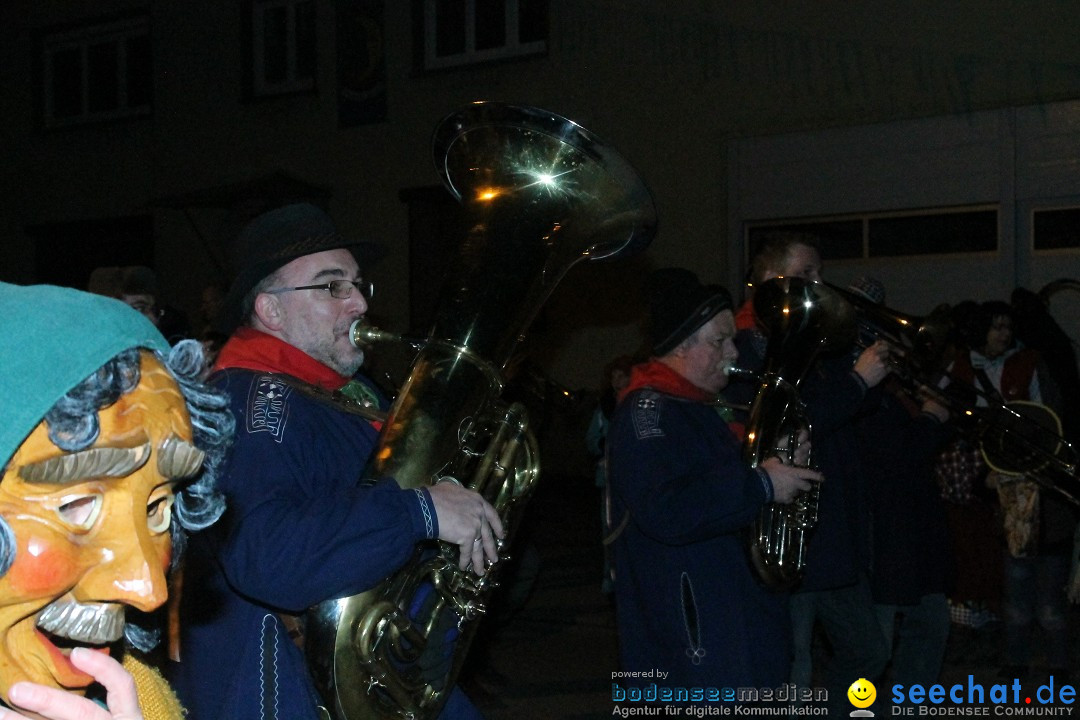 Nachtumzug - Narrentage in Orsingen-Nenzingen am Bodensee, 14.02.2014