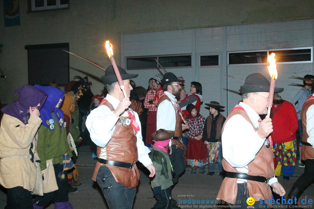 Nachtumzug - Narrentage in Orsingen-Nenzingen am Bodensee, 14.02.2014