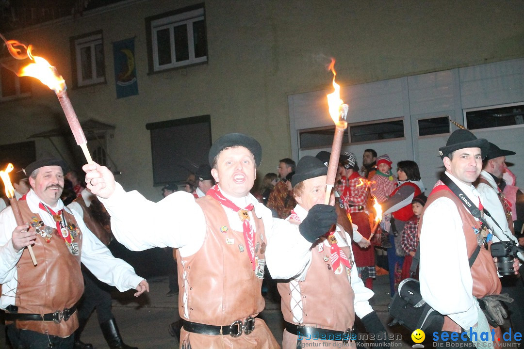 Nachtumzug - Narrentage in Orsingen-Nenzingen am Bodensee, 14.02.2014