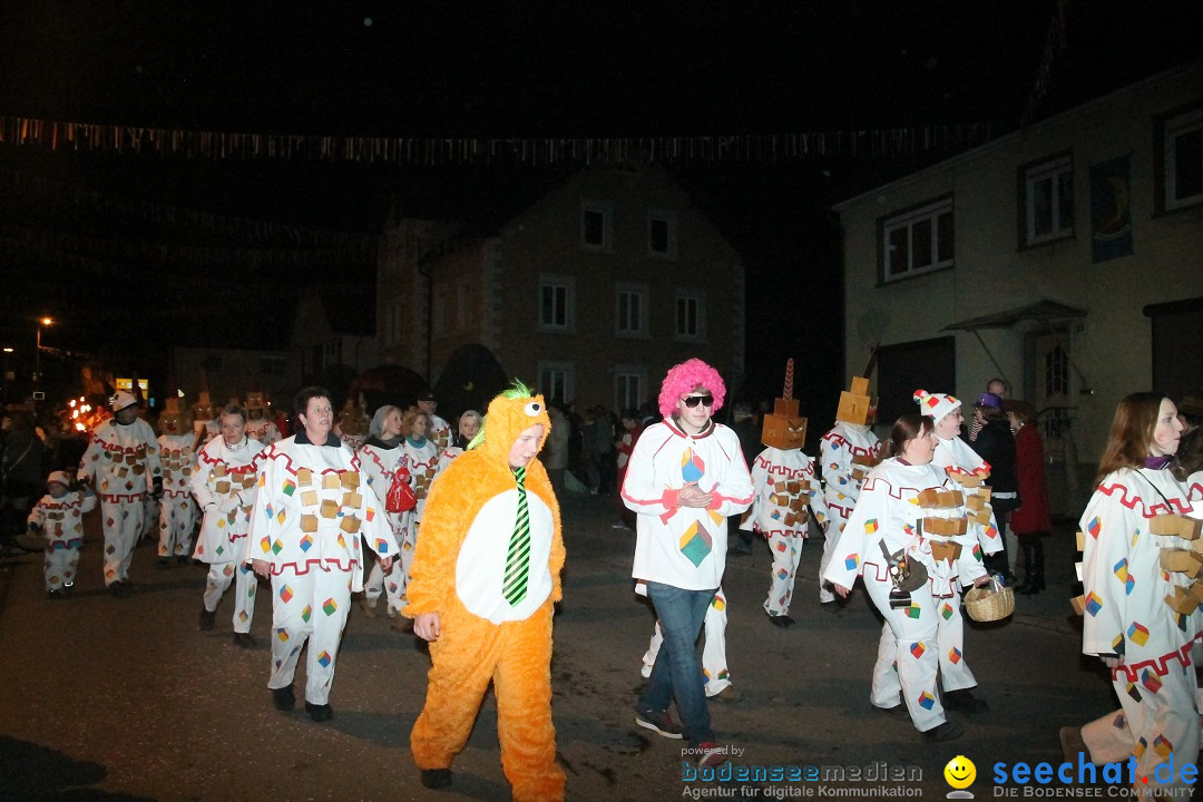 Nachtumzug - Narrentage in Orsingen-Nenzingen am Bodensee, 14.02.2014