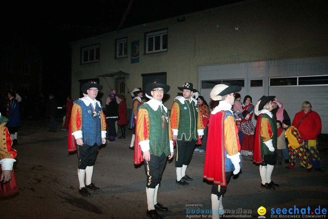 Nachtumzug - Narrentage in Orsingen-Nenzingen am Bodensee, 14.02.2014