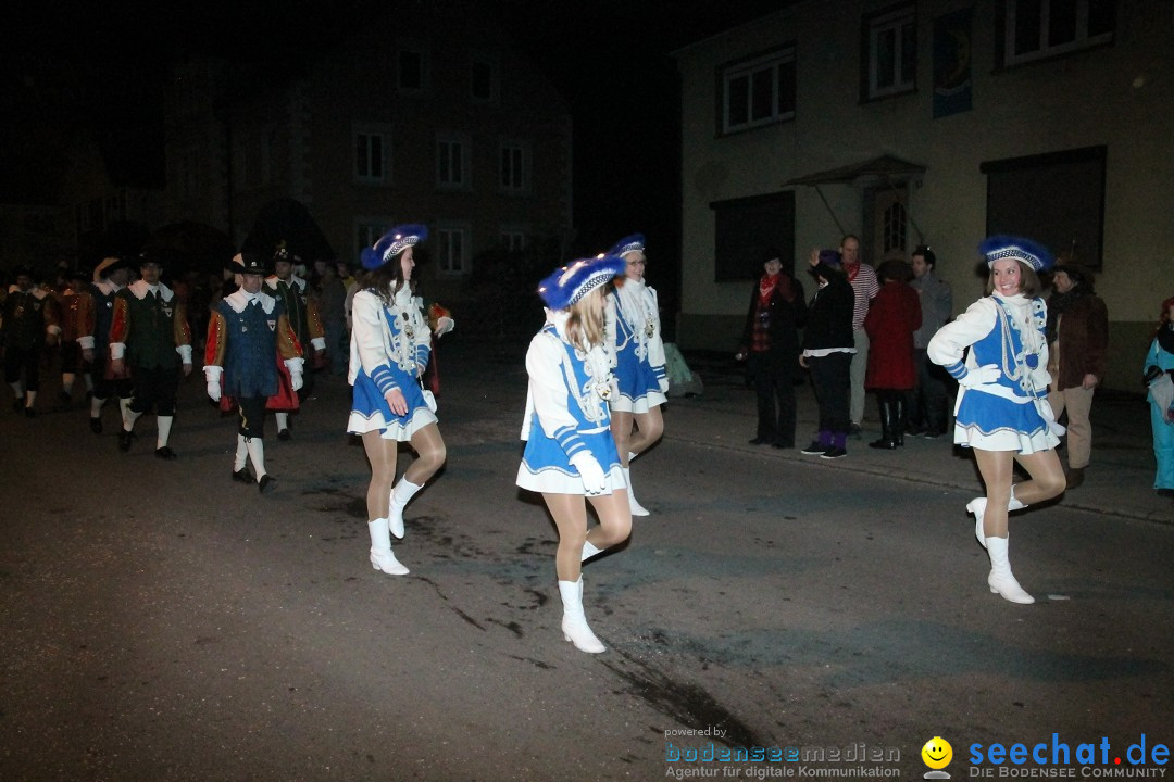 Nachtumzug - Narrentage in Orsingen-Nenzingen am Bodensee, 14.02.2014