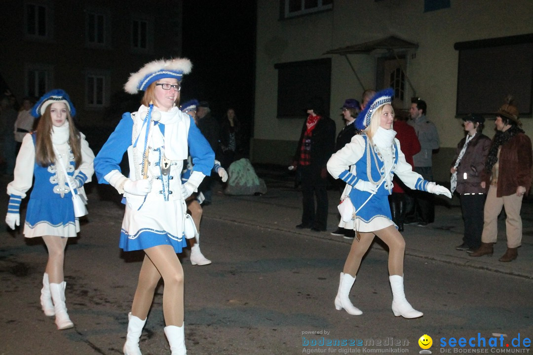 Nachtumzug - Narrentage in Orsingen-Nenzingen am Bodensee, 14.02.2014