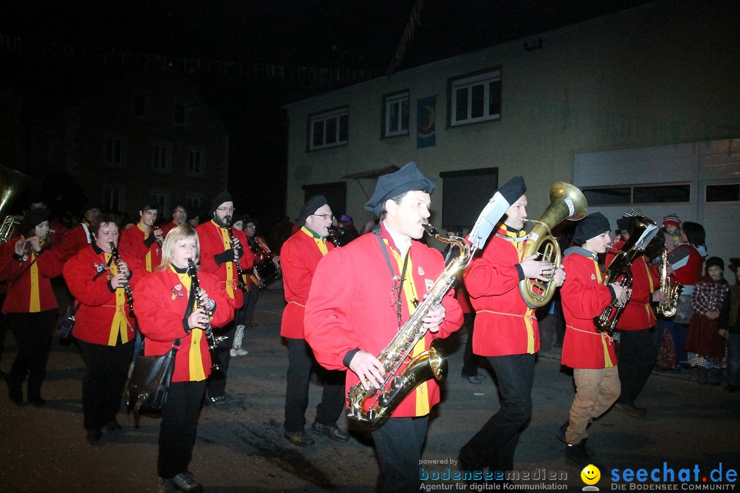 Nachtumzug - Narrentage in Orsingen-Nenzingen am Bodensee, 14.02.2014