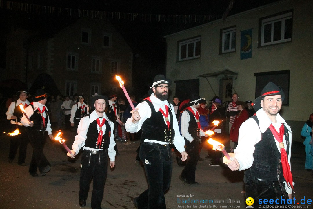 Nachtumzug - Narrentage in Orsingen-Nenzingen am Bodensee, 14.02.2014