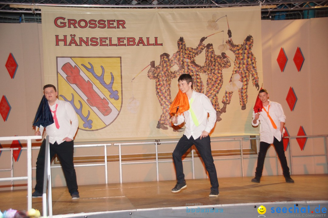 Haenseleball-WildeEngel-Stockach-23-02-14-Bodensee-Community-SEECHAT_DE-_02.jpg