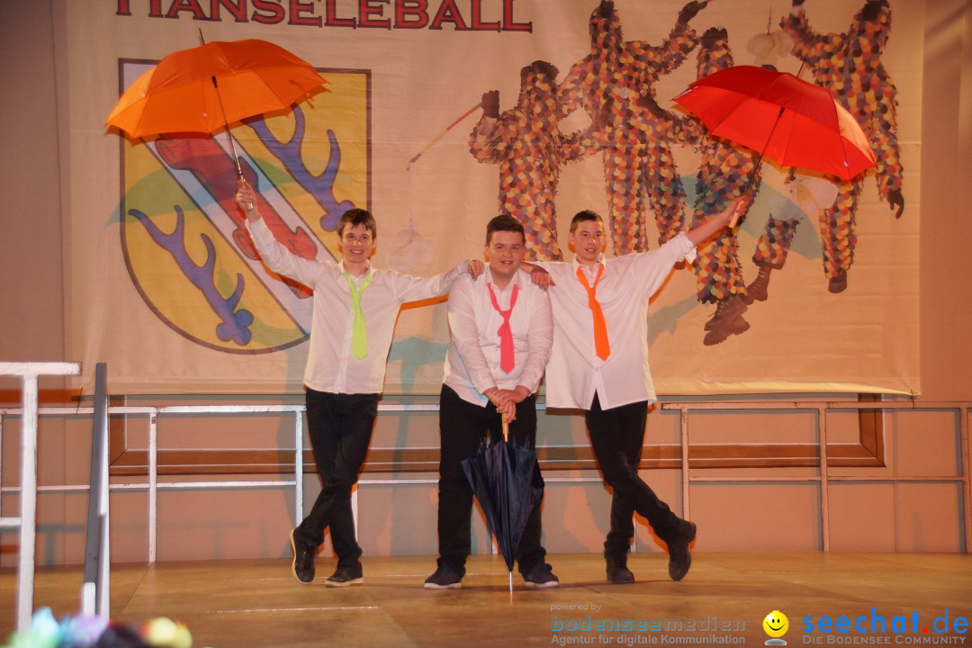 Haenseleball-WildeEngel-Stockach-23-02-14-Bodensee-Community-SEECHAT_DE-_03.jpg