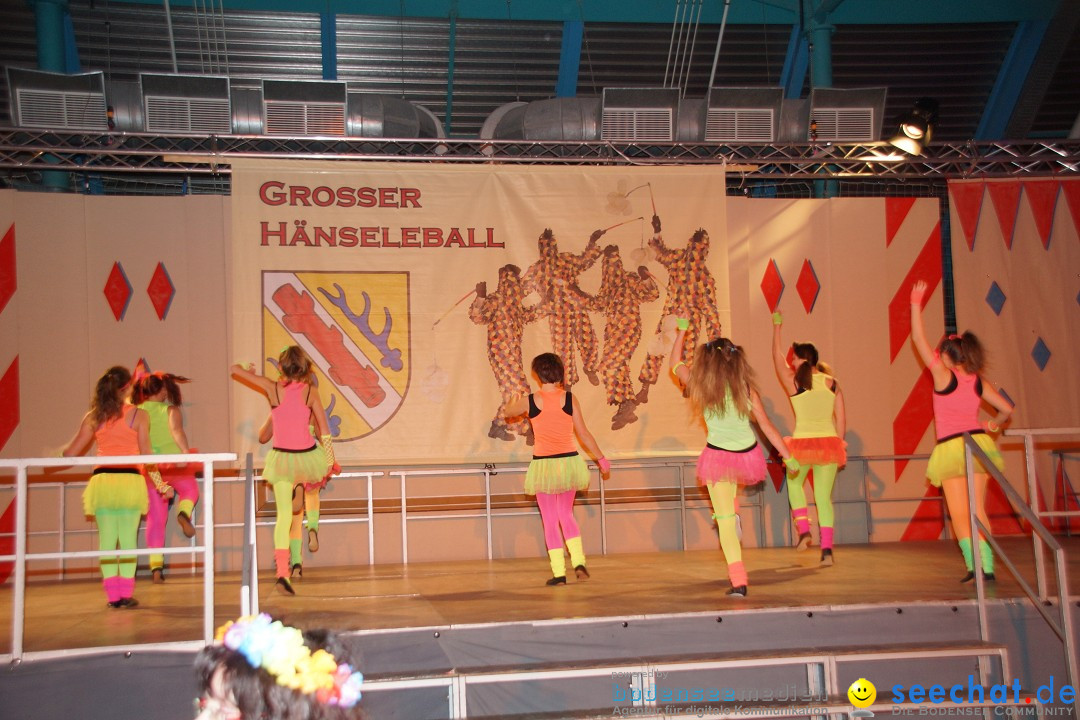 Haenseleball-WildeEngel-Stockach-23-02-14-Bodensee-Community-SEECHAT_DE-_05.jpg