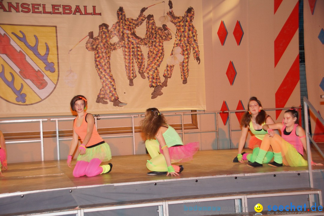 Haenseleball-WildeEngel-Stockach-23-02-14-Bodensee-Community-SEECHAT_DE-_06.jpg