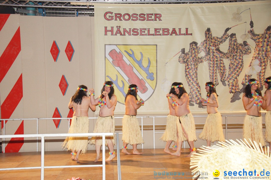 Haenseleball-WildeEngel-Stockach-23-02-14-Bodensee-Community-SEECHAT_DE-_14.jpg