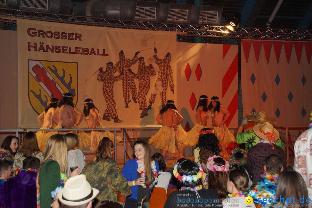 Haenseleball-WildeEngel-Stockach-23-02-14-Bodensee-Community-SEECHAT_DE-_20.jpg