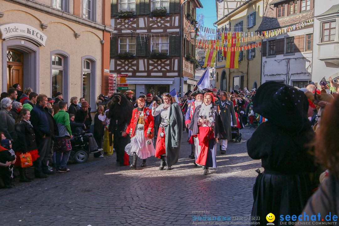 Narrensprung - Narrenbaumsetzen: Meersburg am Bodensee, 23.02.2014