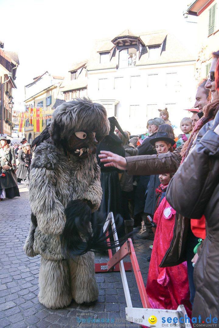 Narrensprung - Narrenbaumsetzen: Meersburg am Bodensee, 23.02.2014