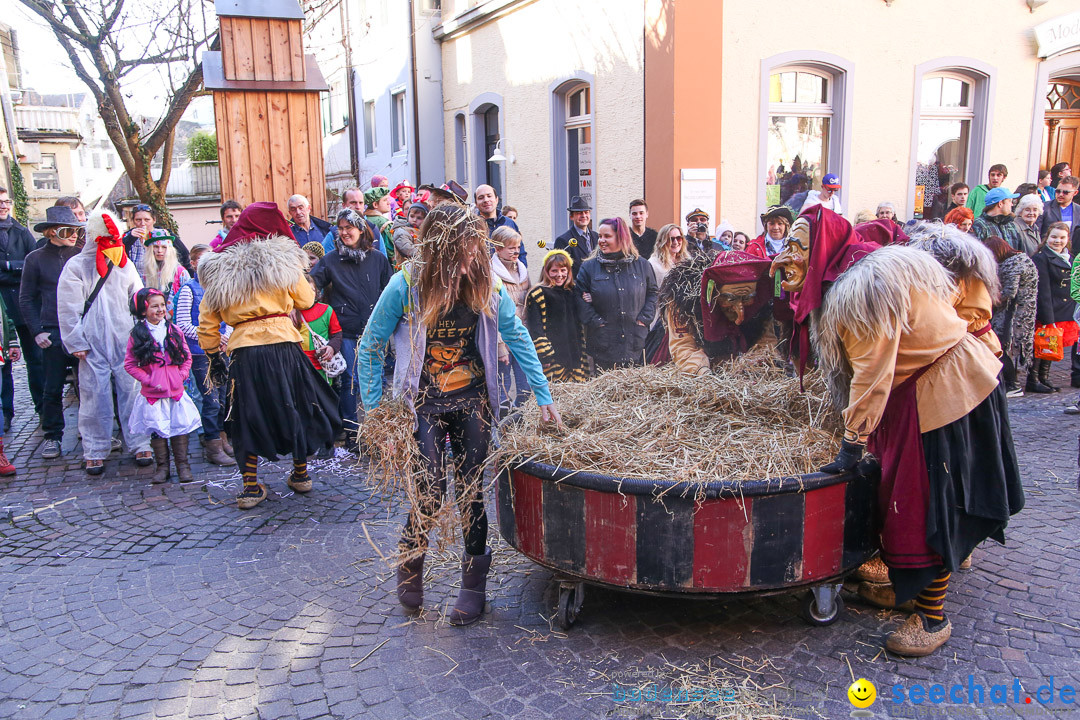 Narrensprung - Narrenbaumsetzen: Meersburg am Bodensee, 23.02.2014